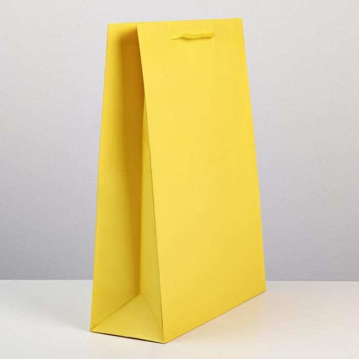 Пакет подарочный ламинированный, упаковка, «Жёлтый», L 28 х 38 х 9 см Пакет подарочный ламинированный, упаковка, «Жёлтый», L 28 х 38 х 9 см
