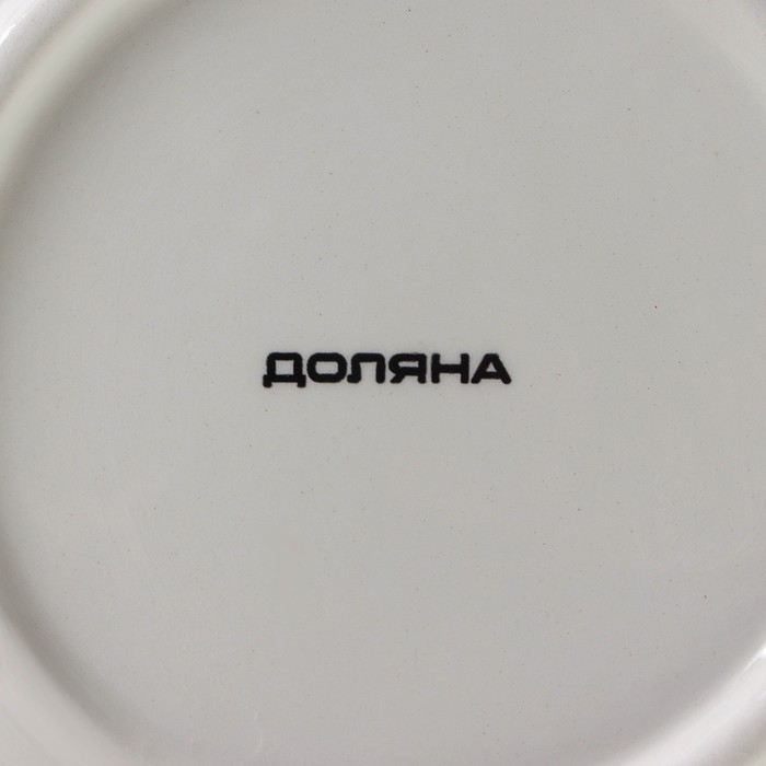 Салатник Доляна «Панда», 250 мл, d=13 см, цвет белый Салатник Доляна «Панда», 250 мл, d=13 см, цвет белый