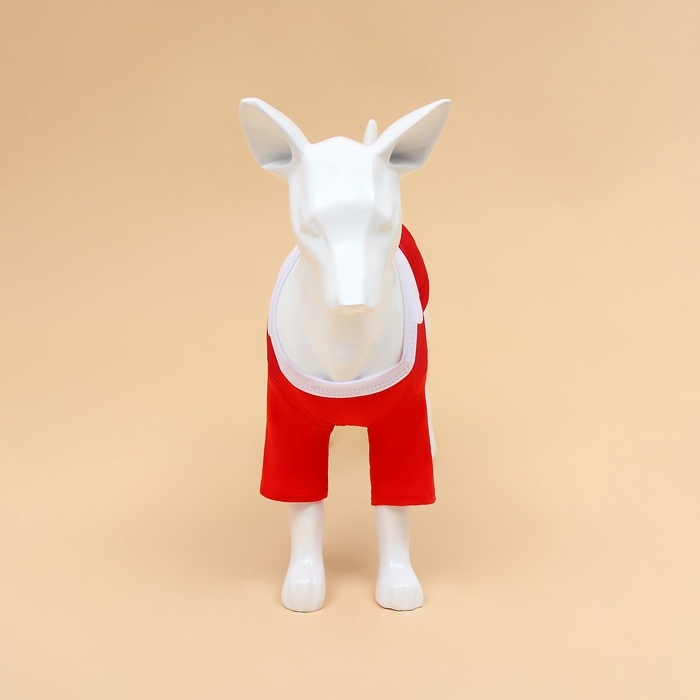 Новый год. Толстовка с колпаком Santa, S (ДС 25, ОГ 35 см) Новый год. Толстовка с колпаком Santa, S (ДС 25, ОГ 35 см)