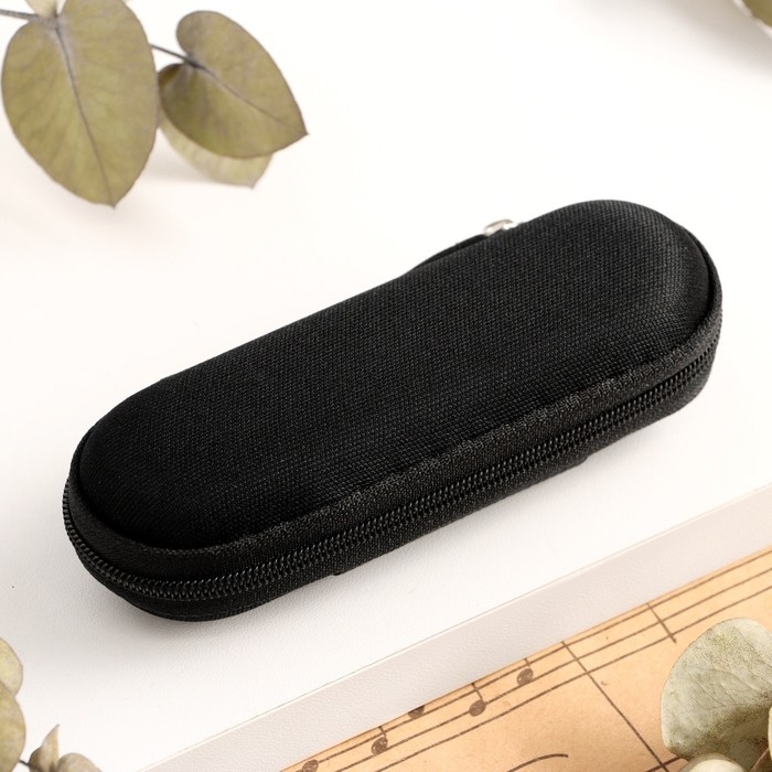 Губная гармошка Music Life T008L  C диатоническая, 10 отверстий, с футляром Губная гармошка Music Life T008L  C диатоническая, 10 отверстий, с футляром