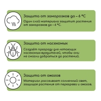 Материал укрывной, 5 × 3,2 м, плотность 42 г/м², спанбонд с УФ-стабилизатором, белый, Greengo, Эконом 30%