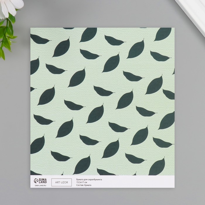 Бумага для скрапбукинга двусторонняя Бумага для скрапбукинга двусторонняя "Авокадо" плотность 180 гр набор 10 шт 15,5х17 см