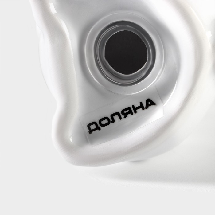 Набор для специй Доляна «Зайка», 2 предмета: солонка 50 мл, перечница 50 мл, цвет белый Набор для специй Доляна «Зайка», 2 предмета: солонка 50 мл, перечница 50 мл, цвет белый