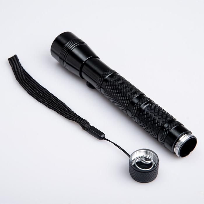 Фонарь ручной, 2 АА, 15.5 х 2.5 см Фонарь ручной, 2 АА, 15.5 х 2.5 см