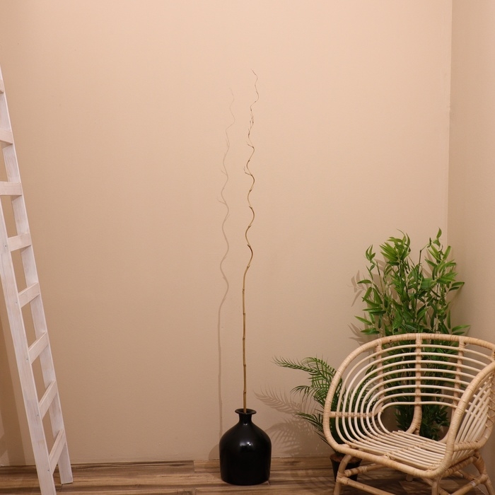 Интерьерный декор из бамбука, 200 см светлый Интерьерный декор из бамбука, 200 см светлый