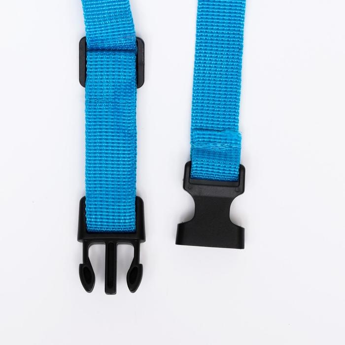 Намордник сетчатый с двойной фиксацией, размер L (длина по носу 6 см, обхват морды 25 см), голубой Намордник сетчатый с двойной фиксацией, размер L (длина по носу 6 см, обхват морды 25 см), голубой