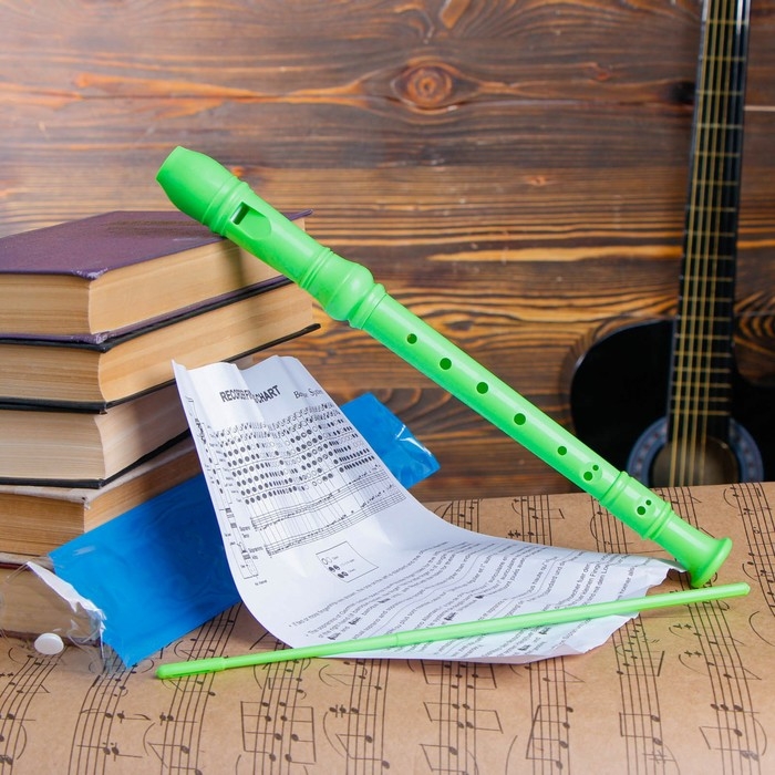 Блокфлейта Music Life, 8 отверстий, немецкая система, сопрано, зелёная Блокфлейта Music Life, 8 отверстий, немецкая система, сопрано, зелёная