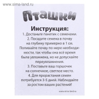 Набор для опытов «Пташки, выращиваем травку», фиолетовый горшочек