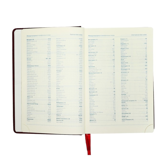 Ежедневник датированный 2025 года, A5, 168 листов в линейку, кожзам  Ежедневник датированный 2025 года, A5, 168 листов в линейку, кожзам "Небраска", золотой срез, бордовый