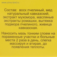 Мазь «Монастырская Живица с Мухомором». Ранозаживляющая.  Стекло. 28 мл.