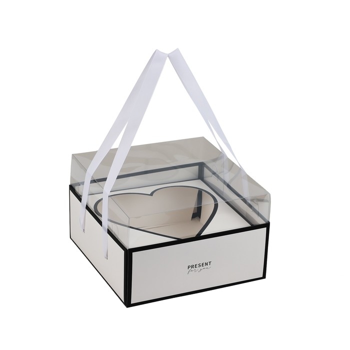 Коробка для цветов с формовым вкладышем и PVC крышкой «Present», 23.5 х 23.5 х 15 см Коробка для цветов с формовым вкладышем и PVC крышкой «Present», 23.5 х 23.5 х 15 см