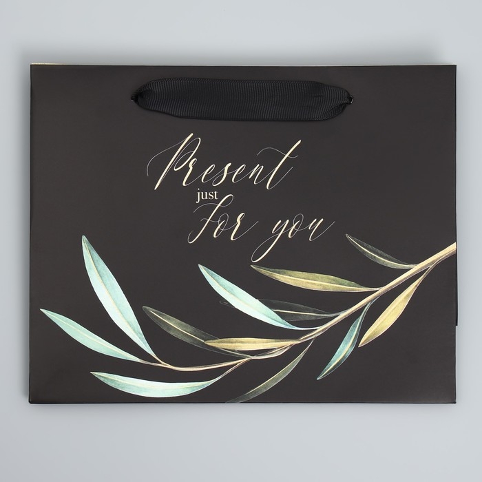 Пакет подарочный ламинированный горизонтальный, упаковка, «Present just for you», 22 х 17.5 х 8 см