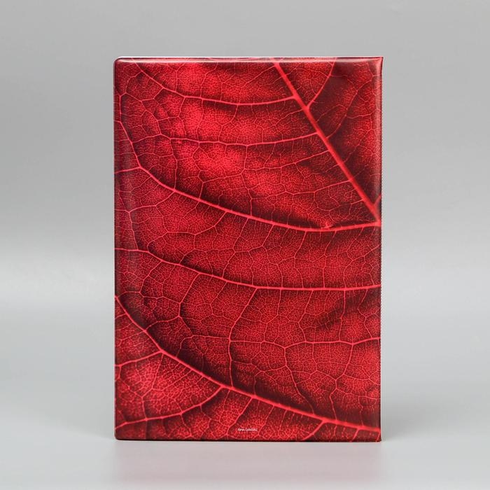 Папка для семейных документов «Docs», 8 файлов А4 Папка для семейных документов «Docs», 8 файлов А4