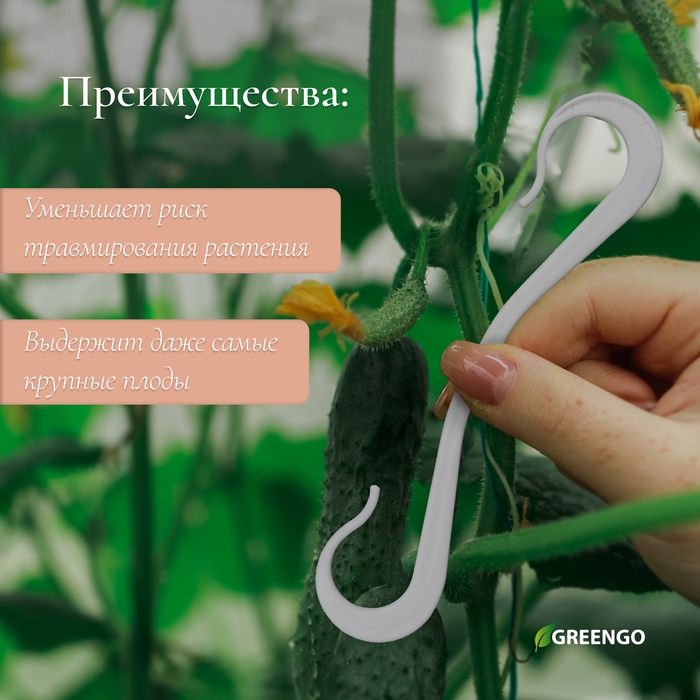 Кистедержатель «Крючок», 12 см, набор 30 шт., Greengo