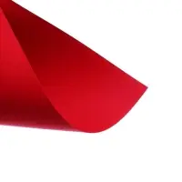 Картон цветной BRAUBERG Kids series, А4, 100 листов, 10 цветов, двусторонний, тонированный