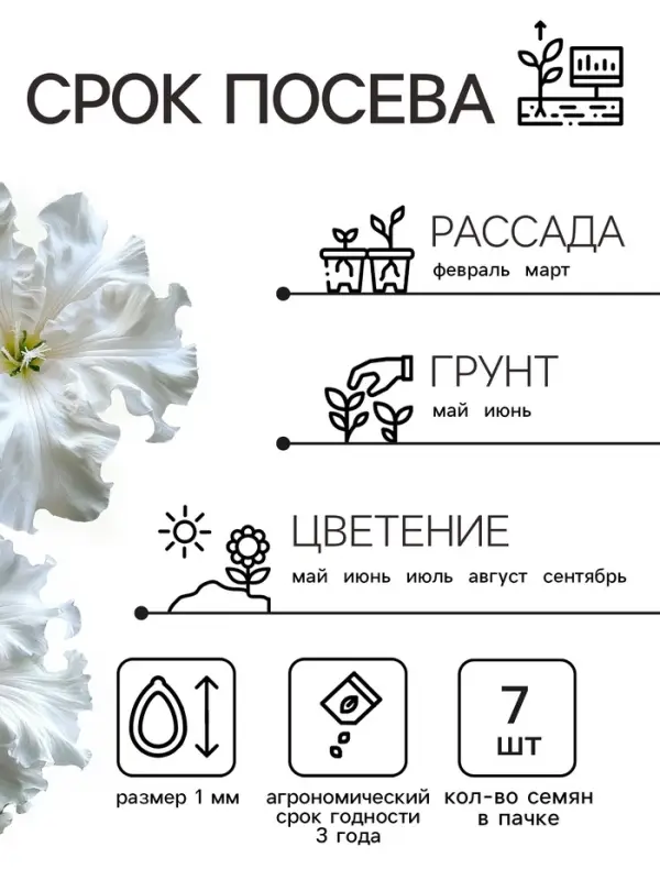 Семена цветов Петуния &laquo;Афродита&raquo;, F1, белая, крупноцветковая, 7 шт., &laquo;Аэлита&raquo;