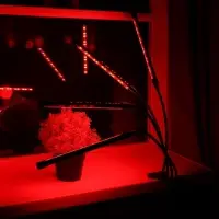 Фитосветильник для растений, светодиодный, 36 Вт, 250 мм, IP66, 5 В, USB, прищепка, таймер, биколорный