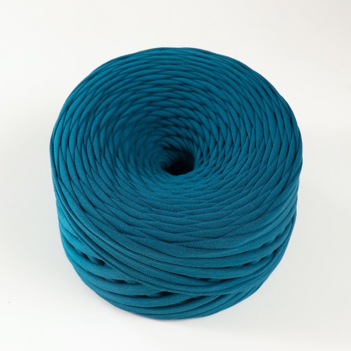 Трикотажная пряжа, ширина 7-9 мм, 100м/295 гр±10% (25 - мурена)