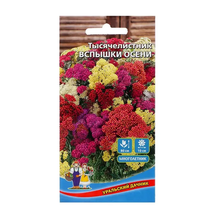 Семена Цветов Тысячелистник  Семена Цветов Тысячелистник "Вспышки осени", 0,1 г,