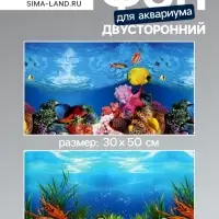 Фон для аквариума двухсторонний, 30&times;50 см