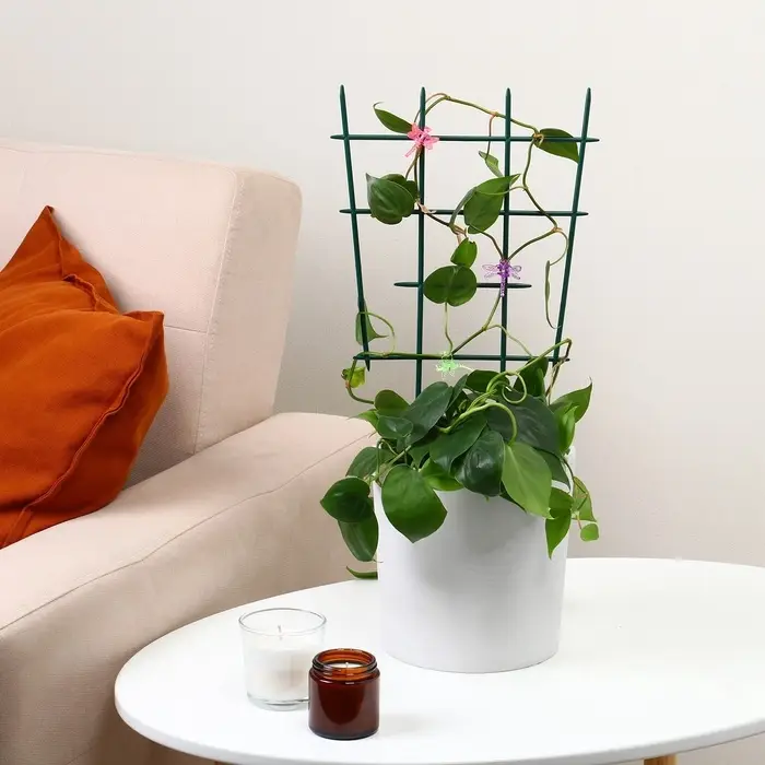 Шпалера, 48 × 29 × 0.2 см, пластик, зелёная, Greengo Шпалера, 48 × 29 × 0.2 см, пластик, зелёная, Greengo