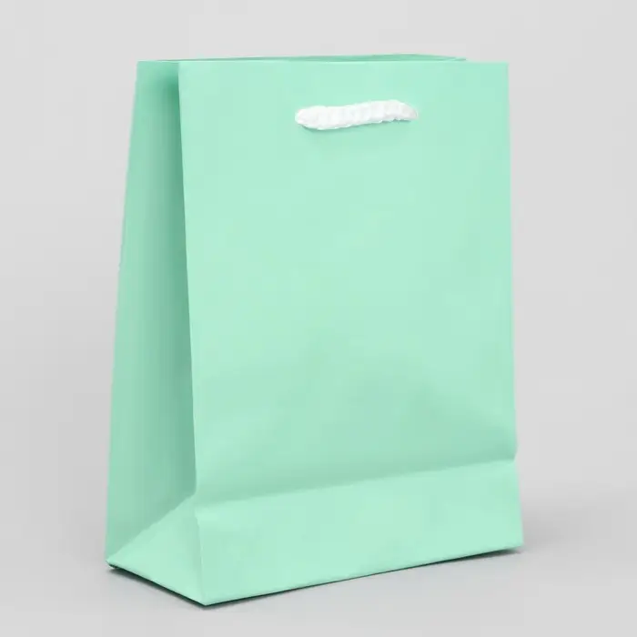 Пакет подарочный ламинированный, упаковка, &laquo;Зелёный&raquo;, S 12 х 15 х 5.5 см