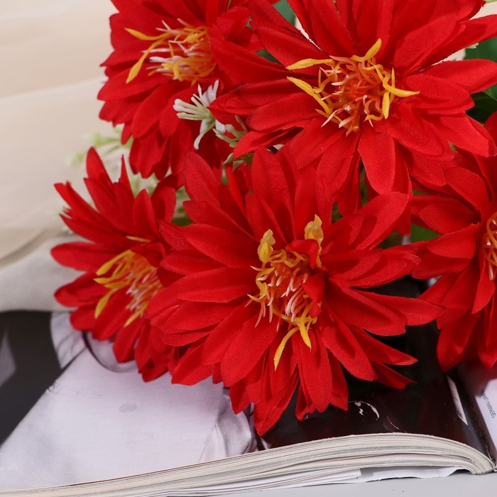 Букет Букет "Георгин Наоми" 8х27 см, микс