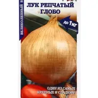 Семена Лук Глобо цветной /Сотка/ 0,2 г/*1200