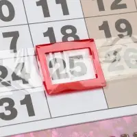 Календарь 2027 квартальный стандарт &laquo;Коза с цветами&raquo;