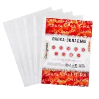 Файл - вкладыш Calligrata, А4, 60 мкм, плотные, матовый, вертикальный, 100 штук