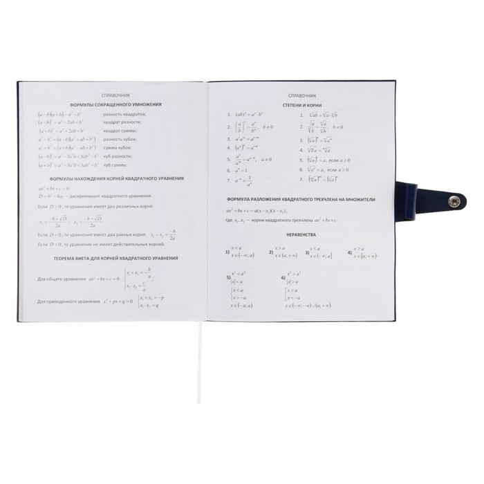 Дневник универсальный для 1-11 класса Favorite, мягкая обложка, на кнопке, искусственная кожа, тиснение фольгой, хлястик, ляссе, 48 листов