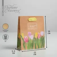 Пакет подарочный вертикальный крафтовый, упаковка, «Цветочная вереница», S 12 х 15 х 5.5 см Пакет подарочный вертикальный крафтовый, упаковка, «Цветочная вереница», S 12 х 15 х 5.5 см