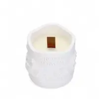 Свеча &laquo;Новый год&raquo;, аромат сандал, гипс