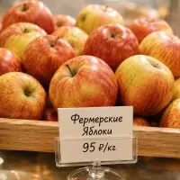 Ценникодержатель на круглой подставке, пластик, 5&times;5&times;2.9 см, прозрачный