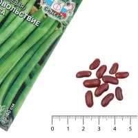 Семена Фасоль спаржевая &laquo;Удовольствие Вкуса&raquo;, 5 г, &laquo;СеДеК&raquo;