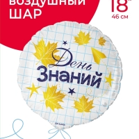 Воздушный шар фольгированный 18" «День знаний», круг, инд. уп.