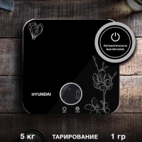 Весы кухонные HYS-KG421