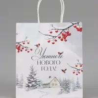 Пакет подарочный крафтовый &laquo;Уютного нового года&raquo;, 22&times;25&times;12 см
