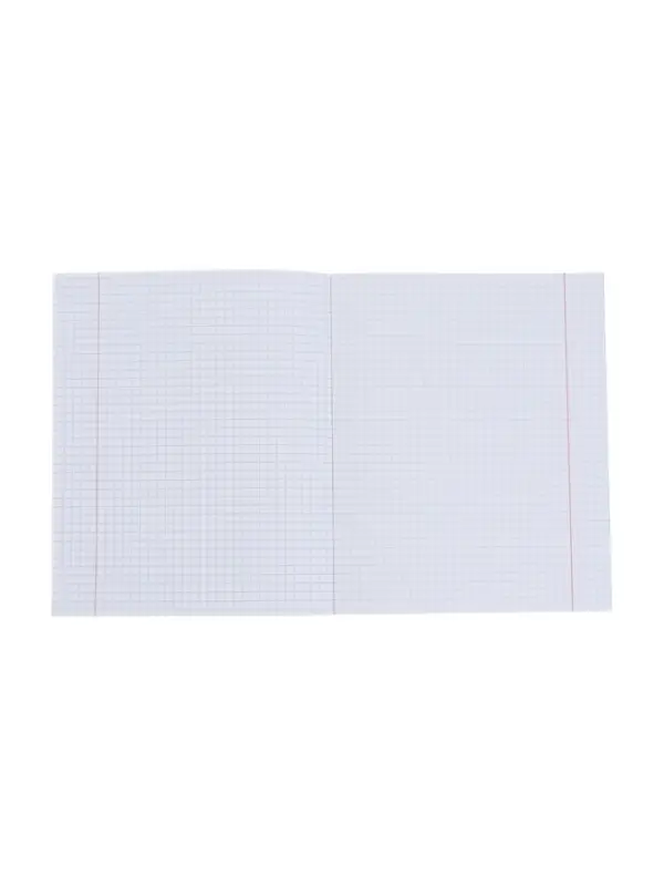 Комплект тетрадей из 10 штук, 18 листов в клетку Calligrata "Еноты", обложка мелованный картон, ВД-лак, блок офсет, 5 видов по 2 штуки