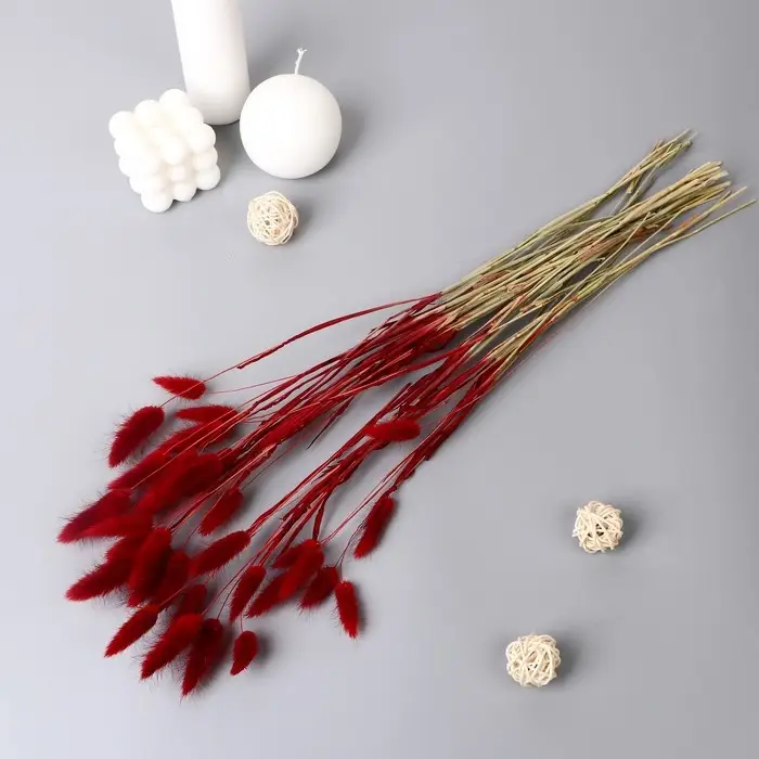 Сухоцветы «Лагурус», h=65 см, (фасовка 30 шт., цена за 1 шт.), красные Сухоцветы «Лагурус», h=65 см, (фасовка 30 шт., цена за 1 шт.), красные