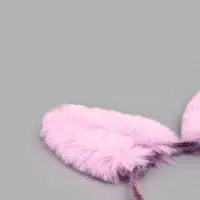 Карнавальный ободок "Ушки", цвета МИКС Карнавальный ободок "Ушки", цвета МИКС