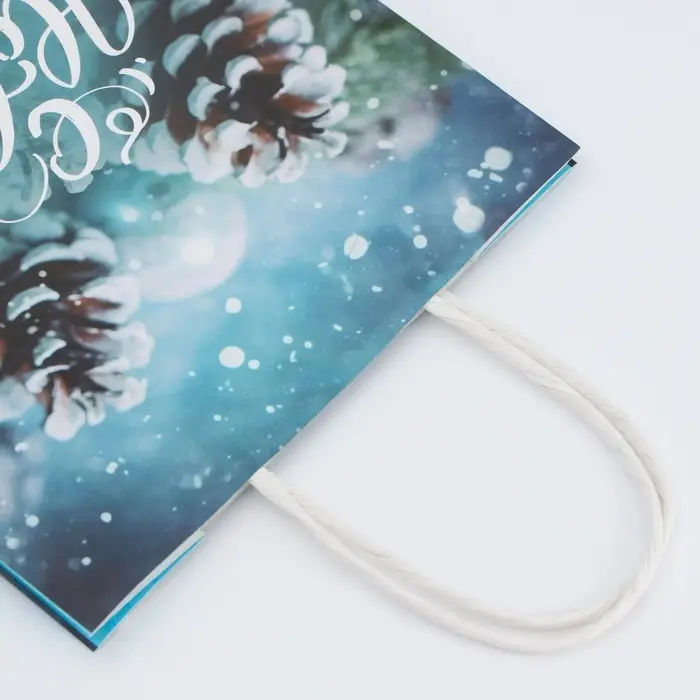 Пакет бумажный подарочный новогодний крафт «Шишки в снегу» 18×8×25 см