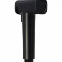 Гигиеническая лейка Accoona AF30501F