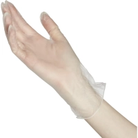 Перчатки одноразовые виниловые, н/о, прозр. Armilla (L), 50п/уп 4гр.,ПС