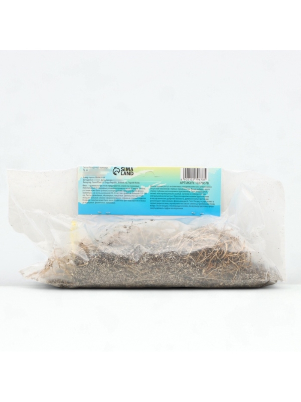 Флокс «Наташа» корневище в пакете с торфогрунтом, р-р I, 2 шт.