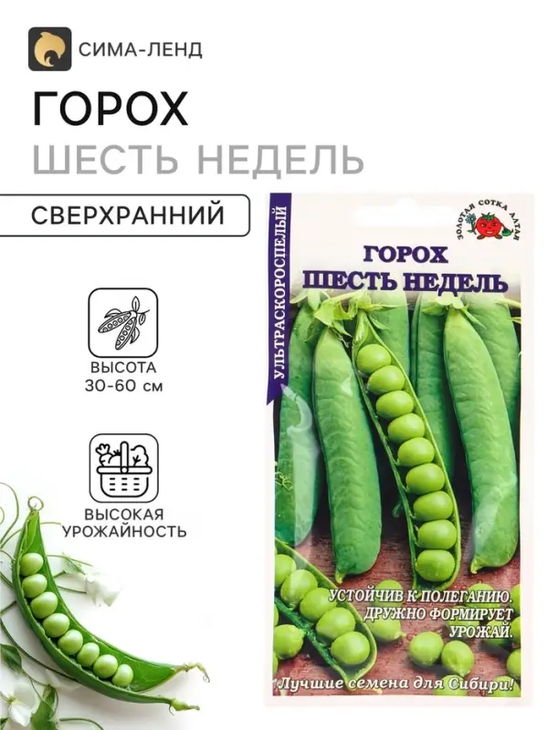 Семена Горох &laquo;Шесть недель&raquo;, 10 г, &laquo;Золотая Сотка Алтая&raquo;