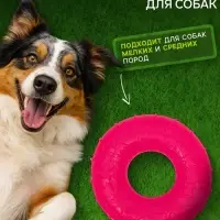 Жевательная игрушка для собак &laquo;Кольцо&raquo;, 6.7&times;2 см, прозрачная, PP, розовая