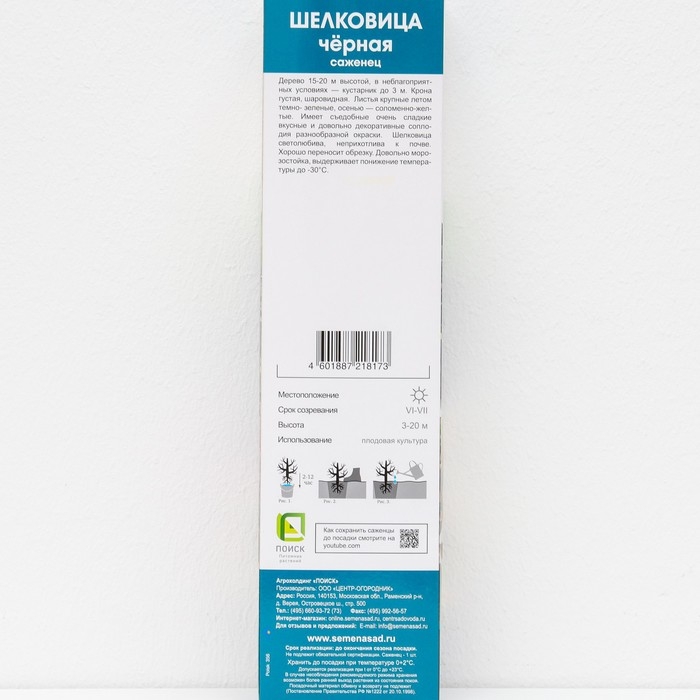 Шелковица черная "Нигра" 1 шт, туба, Весна 2025