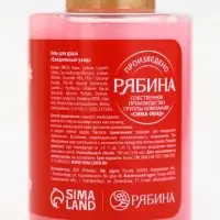 Подарочный набор новогодний «Время волшебства», гель для душа 2 шт и мочалка для тела, URAL LAB Подарочный набор новогодний «Время волшебства», гель для душа 2 шт и мочалка для тела, URAL LAB