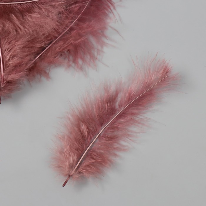 Перо декоративное гусиное пуховое Перо декоративное гусиное пуховое "Кофе" набор 40 шт h=10-15 см